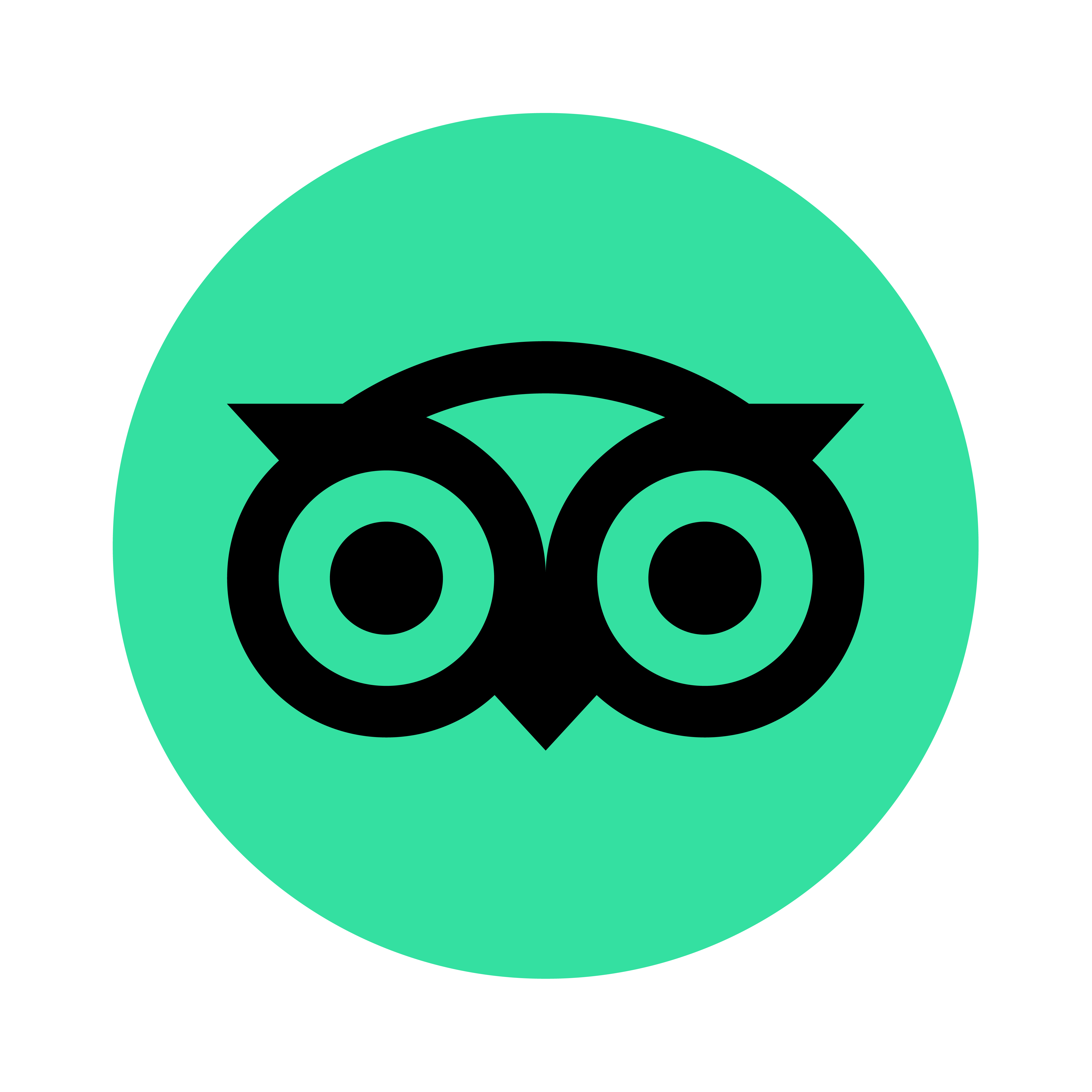 tripadvisor logo